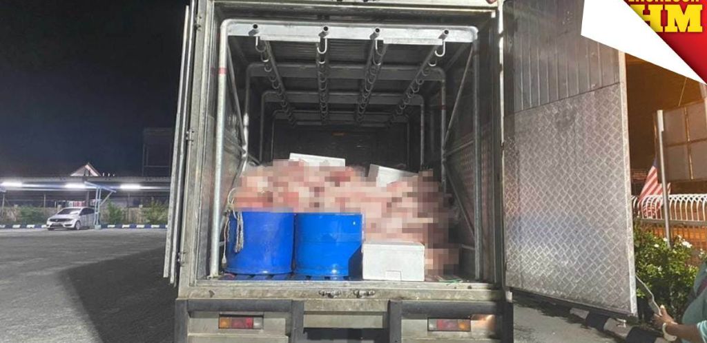 走私网络现形：拿督斯里幕后操控生猪肉走私，借船只穿越泰马边界