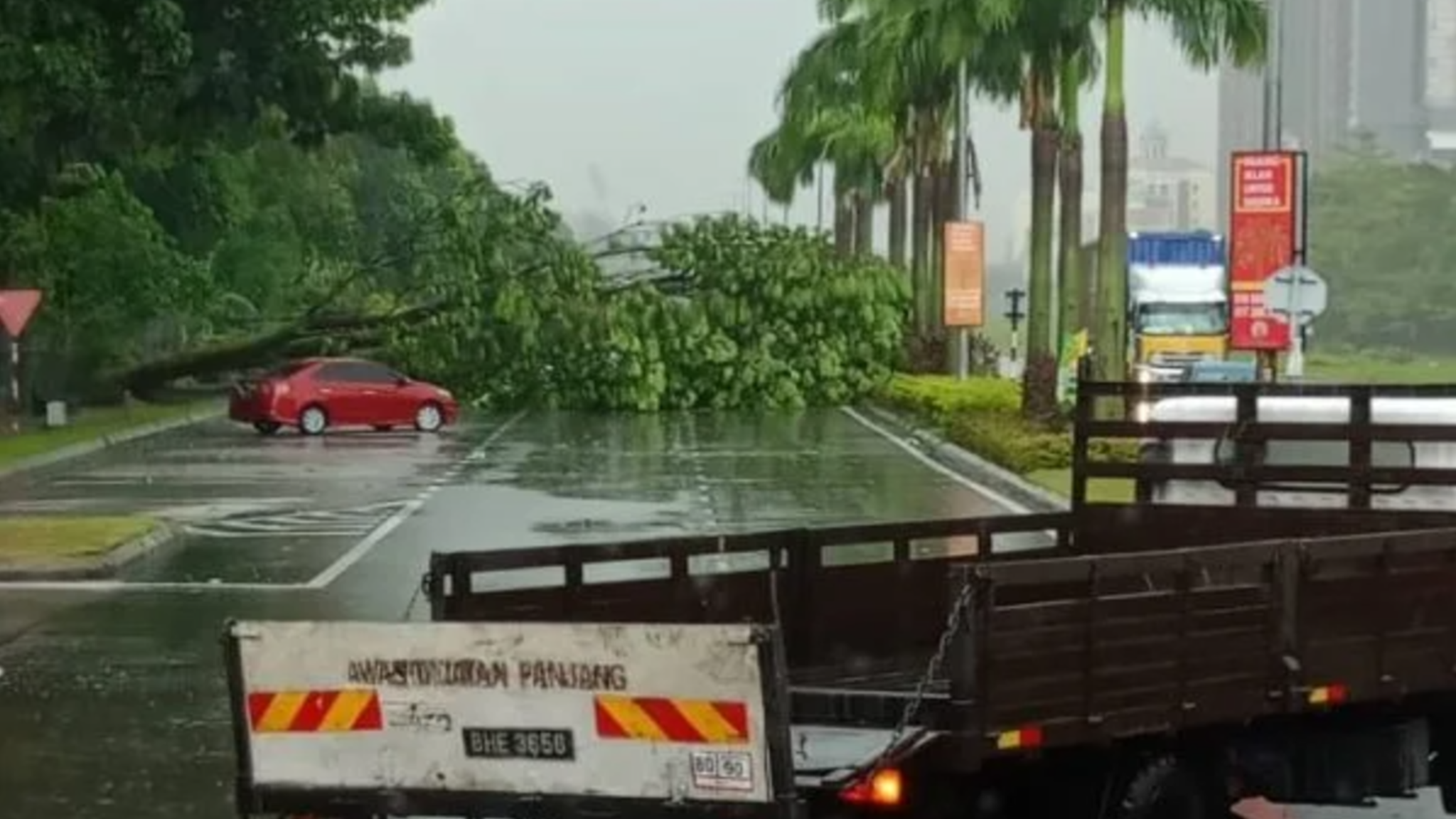 Screenshot 2024-11-26 144110