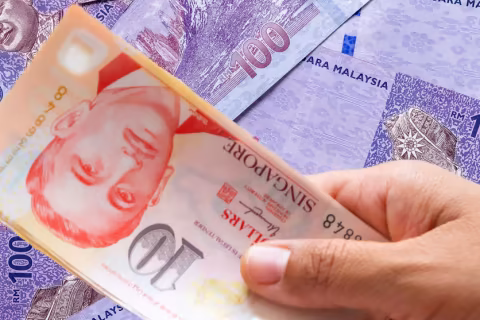 “马币汇率波动与外资投资动态”