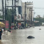 efbc88e585a8e59bbde78988efbc89e6b3b0e58d97e5a4a7e6b0b4e781be-e4b8bae4bd95e8bf99e4b988e4b8a5e9878defbc9fe6b3b0e5aa92e8a7a3e69e90e5bd93